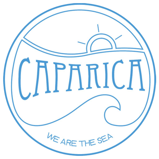 Caparica Surf Lessons